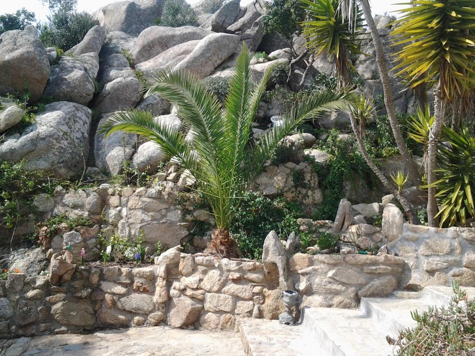 La Fonte Dell'Ulivo 3 Bed & Breakfast ลามัดดาเลนา ภายนอก รูปภาพ