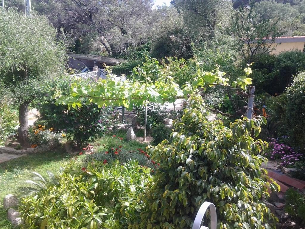 La Fonte Dell'Ulivo 3 Bed & Breakfast ลามัดดาเลนา ภายนอก รูปภาพ