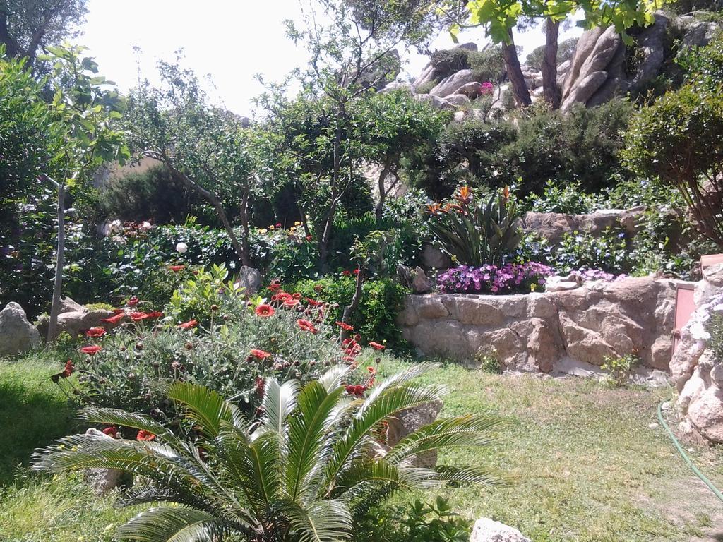 La Fonte Dell'Ulivo 3 Bed & Breakfast ลามัดดาเลนา ภายนอก รูปภาพ