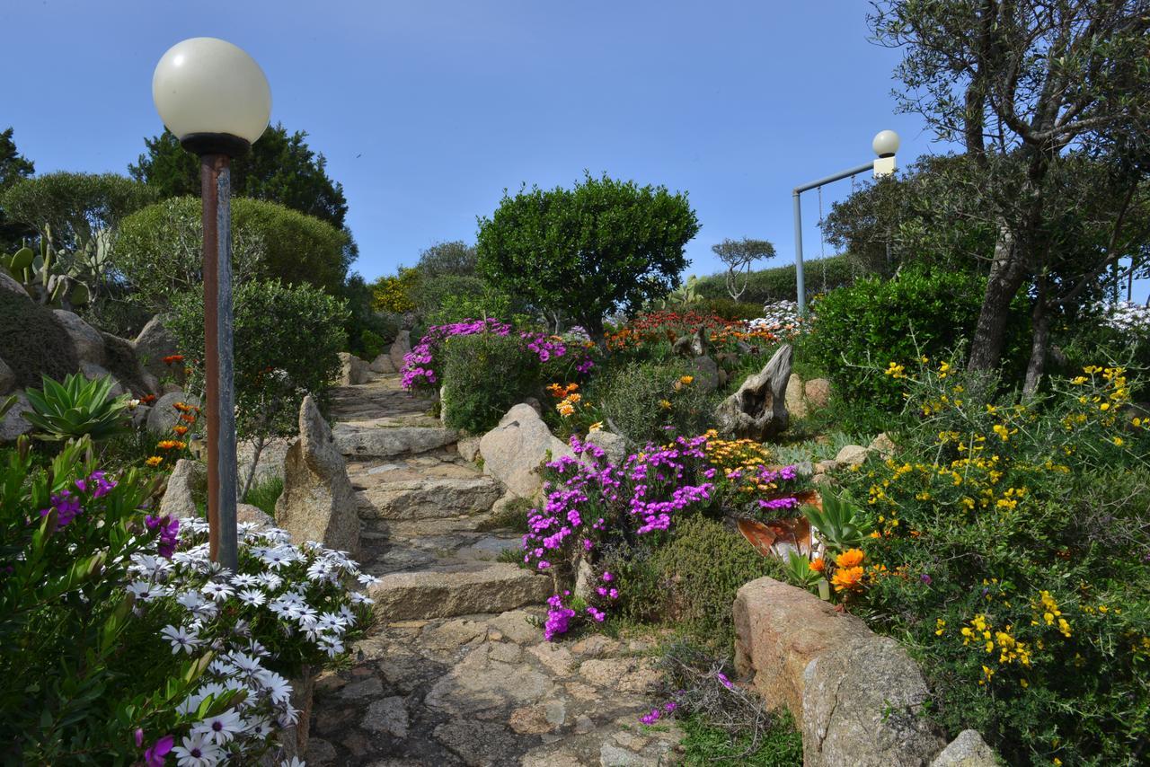 La Fonte Dell'Ulivo 3 Bed & Breakfast ลามัดดาเลนา ภายนอก รูปภาพ